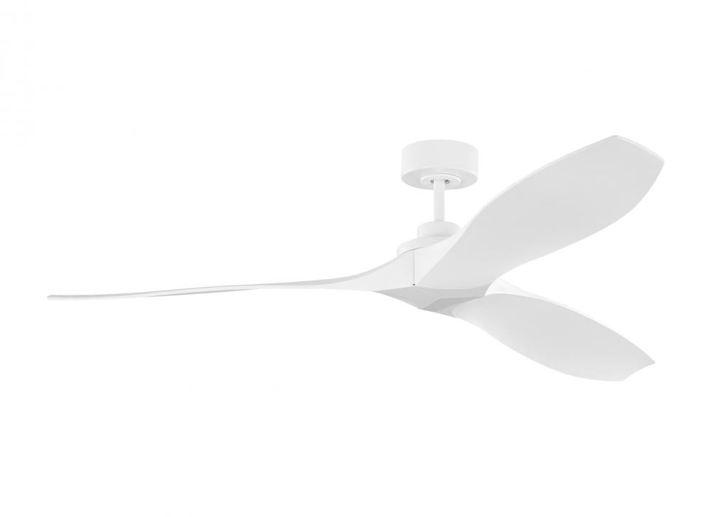 Visual Comfort & Co. Fan Collection-3CLNCSM60RZW